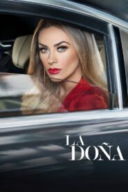 La Doña En streaming Vf